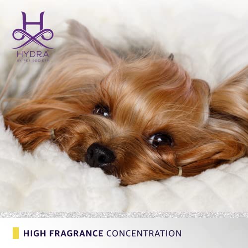Hydra Forever Candy Pet Cologne, Finishing Cologne for Dogs and Cats, Grooming Spray, 15 FL.OZ