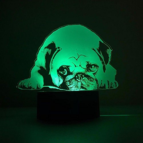 CooPark 3D Illusione Ottica Led Lampada di Illuminazione Luce Notturna, Coniglio Lampada da Tavolo 16 Colori con Acrilico Caricatore USB per Comodino Bambini Cameretta Casa Festa