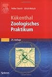 kükenthal zoologisches praktikum 26. auflage  Kükenthal - Zoologisches Praktikum (Sav Biologie) von Volker Storch (8. Dezember 2005) Gebundene Ausgabe