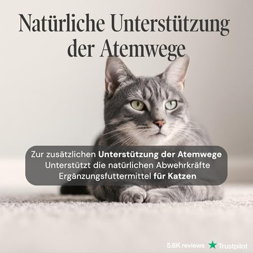 Sensipharm Sneeze Aid - Katzenschnupfen Tabletten für Katzen bei Niesen, Schnupfen & Nasenausfluss - Natürliche Kräuterformel zur Unterstützung der Atemwege & Abwehr - 90 Tabletten
