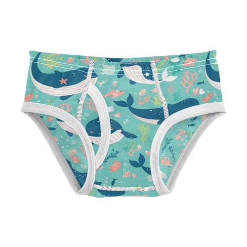 Cute Whales Boys' Underwear Cotton Boys Briefs Soft Toddler Underwear 2T