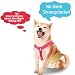 Hundewindel Hosenträger 2 Stück,Hunde-Hosenträger können verhindern DASS Windeln oder Unterwäsche herunterrutschen,für schutzhose läufige,katzenwindel,rüdenwindel (Schwarz+Rosenrot, M)