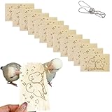Generisch 10 Pack Bird Chew Toys, Natural Balsa Wood Bird Chew Shredding Foraging Toys, Safe Chewing Toy Soft Wood Slices for Small Parrots Cockatiels Budgies Parakeets Lovebirds