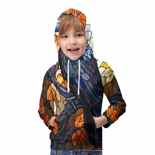 Sweat à capuche enfant corbeau vitrail fini les vêtements ternes 9-11 ans