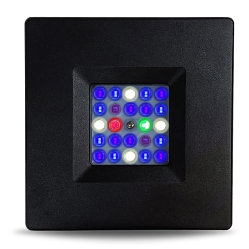 CURRENT Orbit R24 95W Reef LED Light with Loop Bluetooth Control & 24-Hour Timer | Flex Arm Mount | Saltwater & Marine Aquarium Lighting for LPS & SPS Corals (4440)