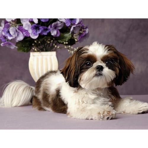 Kit para hacer un cuadro de diamantes de shih tzu, el regalo ideal de manualidades 5D