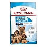 ROYAL CANIN Maxi Starter Mother & Babydog - 15 kg