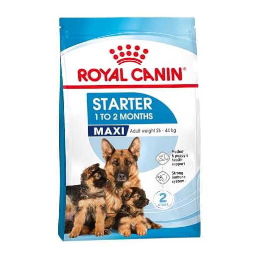 Royal Canin Maxi Starter Food