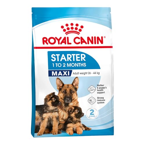 Image of Royal Canin Maxi Starter, Mother & Babydog Food, 15 Kg, Dry Food, Supports Complex Natural Defence & digestive health, Provides Gestation /Lactation Support, Supports Easy rehydration