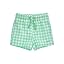 Spring Bud Gingham