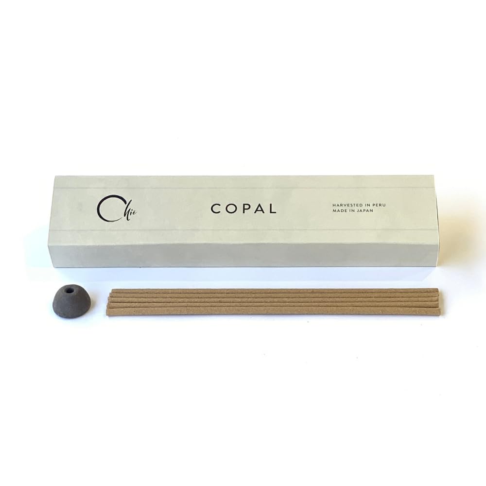 Amazon.com: CHIE - Copal Japanese Style Incense 30 Sticks with