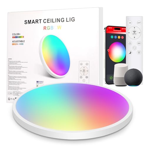 LEOEU RGBIC Smart Plafonnier LED à intensité variable 24 W Ø 30 cm Avec télécommande 16 millions de couleurs DIY Compatible avec Amazon Alexa