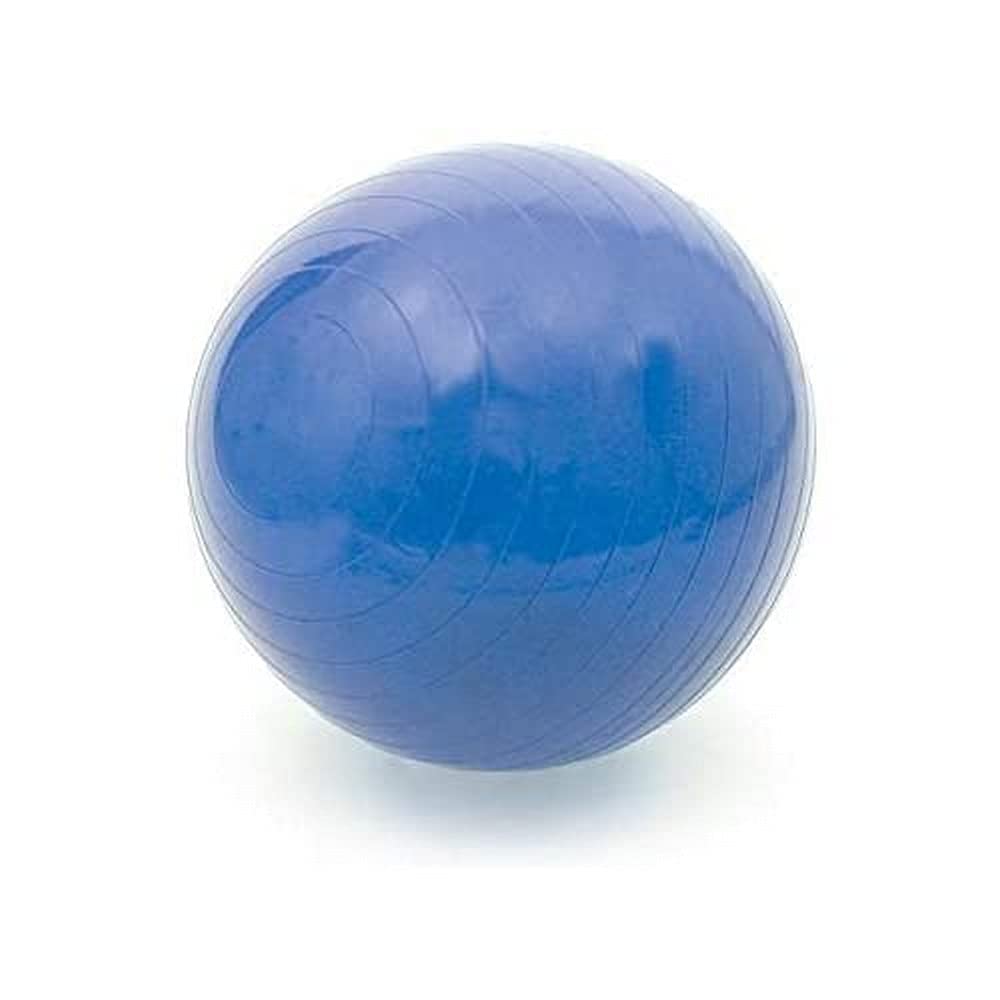 Antar ATCP Rehabilitationsball ABS 55 ATCP ABS Rehabilitationsball, 55 cm Durchmesser, 750 g