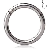 Ruifan 1PC Stainless Steel Hinged Seamless Segment Hoop Septum Clicker Ring Lip Helix Tragus Cartilage Earrings Nose Rings Pirecing 16g 10mm Steel