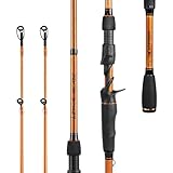 KastKing Lethal Blaze Twin-Tip Fishing Rods, IM6 Graphite Blanks Casting & Spinning Rods, 2-Piece Rod with Extra Tip, PTS Power Transition System, Ideal for Bass, Freshwater & Inshore Fishing