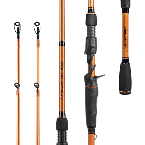 KastKing Lethal Blaze Twin-Tip Fishing Rods, IM6 Graphite Blanks Casting & Spinning Rods, 2-Piece Rod with Extra Tip, PTS Power Transition System, Ideal for Bass, Freshwater & Inshore Fishing