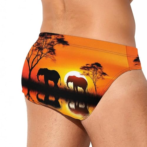 African Elephants in Sunset Novelty Men's Brief Swimwear Pants Swimming Trunks Beach Shorts Underwear3