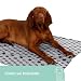 Kerbl Pet Hundedecke Stella, Liegedecke, grau, mit Sternenmotiv, 140x100cm, Hunde/Katzen, aus flauschigem Fleece, Möbelschutz