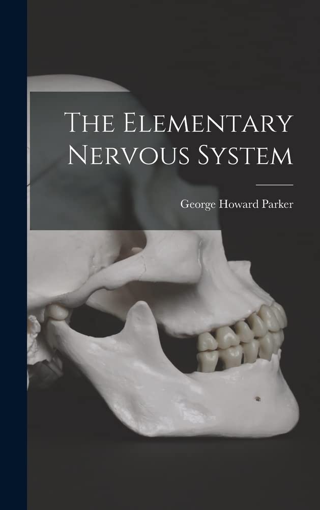 The Elementary Nervous System