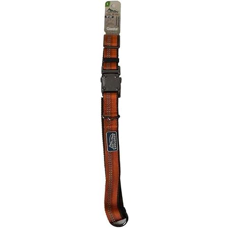 k9 explorer collar amazon