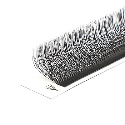 4D W Shaped Lashes Premade Volume Fans Russian 4D Lash Easy Blooming Eyelashes Extension 8-12mm Black Lash Makeup Lashes Supplies (12mm, 4D W-Shape-B-0.05)