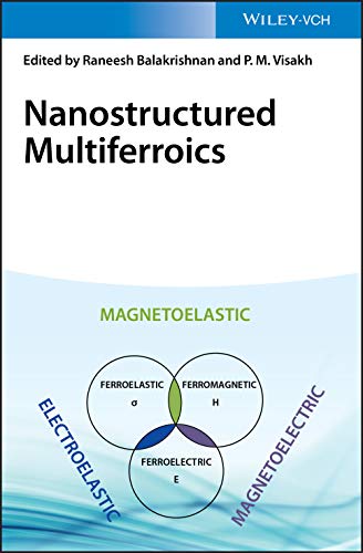 Nanostructured Multiferroics view 2