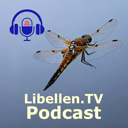 Die gr&ouml;&szlig;ten Libellenschw&auml;rme