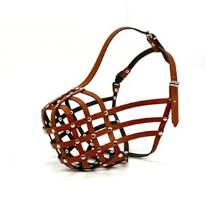 L&J Pets Uk DB2 Braun Leder Maulkorb