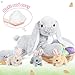 MaoGoLan 4Pcs Easter Bunny Stuffed Animals with 3 Babies Inside, 24