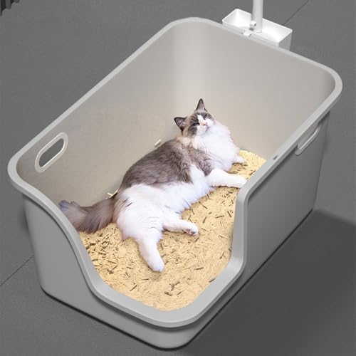 Arenero plástico grande para gato con pala y filtro miniatura 6