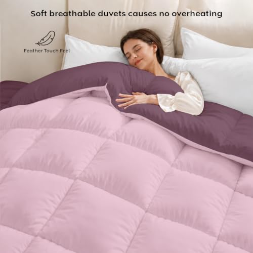 Image of AYKA Reversible Comforter 220 GSM Microfiber Reversible AC Comforter /Blanket for Winter /Quilt /Dohar /Duvets for King Size Blanket /Comforter Double Bed (Cameo & Plum, 90 * 100 inch)