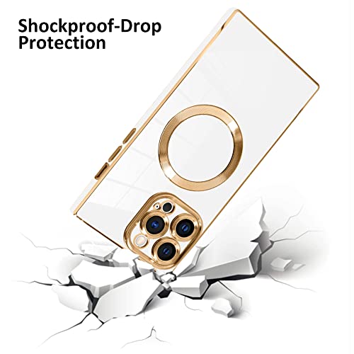 Coque iPhone 15 Pro Max MagSafe anti-chute pour éviter les bris - 3
