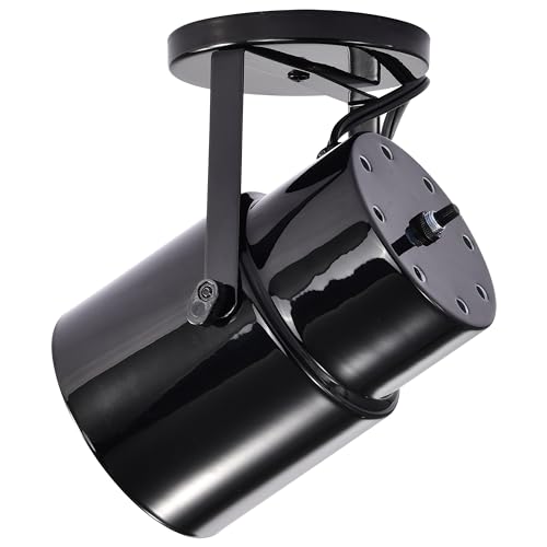 Image of Satco SF77 /394 Incandescent Portable Plant Lamp, 60 Watts, Alloy Steel, Black