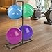 Bathrena Stability Ball Rack, Exercise Ball Stand, Gym Ball Storage Stand, for Yoga Ball Stability Ball Yoga Mats Home and Commercial Gym