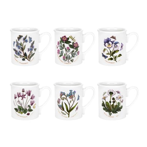 Portmeirion Botanic Garden - Set di 6 Tazze da Colazione da 255 ml