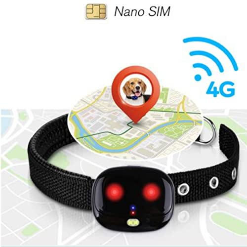 Collier GPS 4G Traqueur/Localisateur/Traceur/sans Abonnement pour Chats/Chien/Objets De Valeurs Suivre La Position en… - Image 3