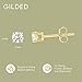Gilded 1/4 Carat Total Weight Lab-Grown Diamond 10KT Yellow Gold Stud Earrings for Women| Hypoallergenic Fine Gold Jewelry | 4-Prong Basket, Push Back Nut | SI1 Clarity, F Color, Round Cut