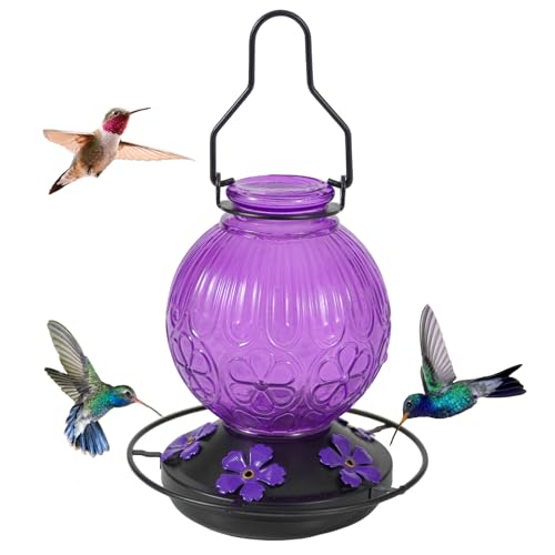 Glass Hummingbird Feeders for Outdoors Hanging 23Oz Humming Bird Nectar Feeders with Perch 5 Flower Feeding Ports Leak Proof Base and Hook for Garden Decor Gifts for Mom Women (Purple)
