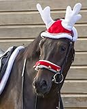 Die Haube in der Größe Pony könnte auch für Ihr Pferd ein Feature sein