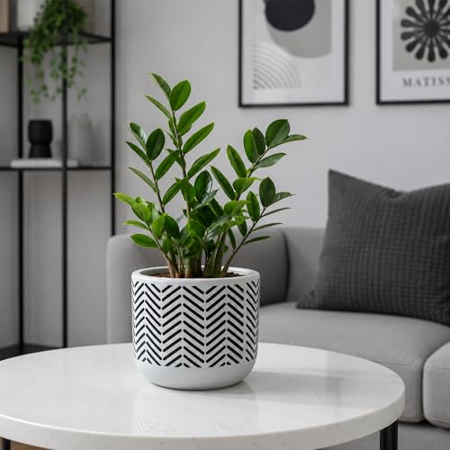 Image of Urban Plant White Chevron Handcrafted Terracotta Planter | Monochrome Indoor Clay Pot for Living Room | Artisan Decorative Flower Pot | Modern Minimal Home Decor | Drainage Hole | 4-6 Inch