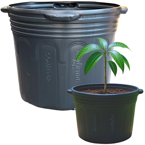 Vaso Embalagem 40 Litros com Alça para Árvores Frutíferas, Orname...