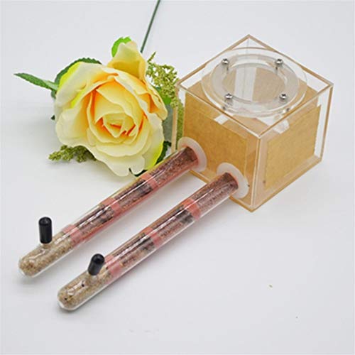 ZSBY Mier boerderij insecten mier villa mooie reageerbuis mier nest acryl mier boerderij bamboe buis kleine huisdier… - Afbeelding 4