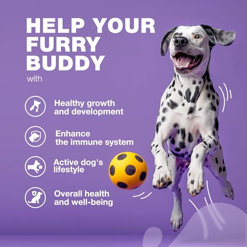 Dog-Vitamins-15-in-1-Dog-Multivitamin-Chews-with-MSM-for-Hip-Joint-Health-Dog-Supplement-for-Itchy-Skin-Relief-Multivitamin-for-Dogs-Immune-Support-with-Enzymes-Skin-Coat-Mobility-Support - Cucciolini Doodles   Dog-Vitamins-15-in-1-Dog-Multivitamin-Chews-with-MSM-for-Hip-Joint-Health-Dog-Supplement-for-Itchy-Skin-Relief-Multivitamin-for-Dogs-Immune-Support-with-Enzymes-Skin-Coat-Mobility-Support