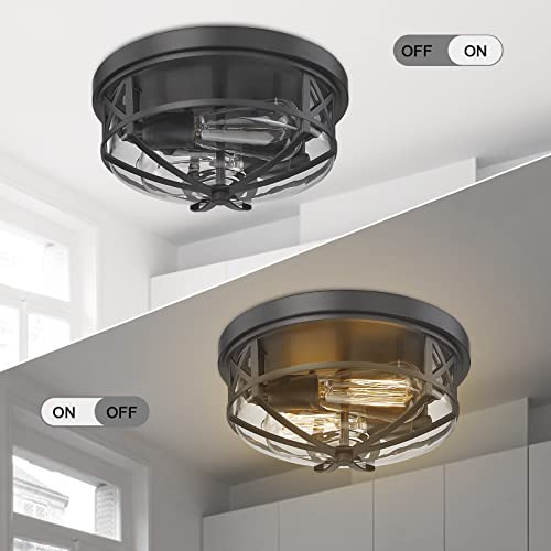 Darkaway Ceiling Light Fixtures Flush Mount Light Fixtures Ceiling Mount With Clear Glass Shade, Indoor Outdoor Ceiling Light For Hallway Entryway Bedroom Porch 2-Light E26 #TOP1