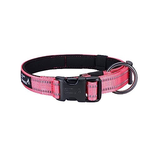 EXCELLENT ELITE SPANKER Reflective Dog Collar Classic Soft Padded Breathable Nylon Adjustable Pet Collar with Quick Release Buckle for Boy Girl Male Female Puppies Small Medium Large Dogs(L-PIK)