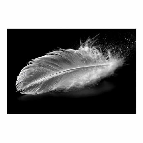Tableau noir et blanc plumes blanches HOQIU art minimaliste deco maison 40x60cm sans cadre