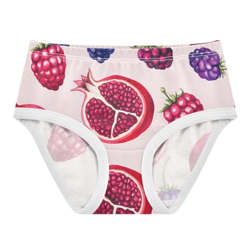 Watercolor Pomegranates Raspberries Girls Underwear Toddler 2t Cotton Panties Little Girl Cartoon Briefs Kids Undies