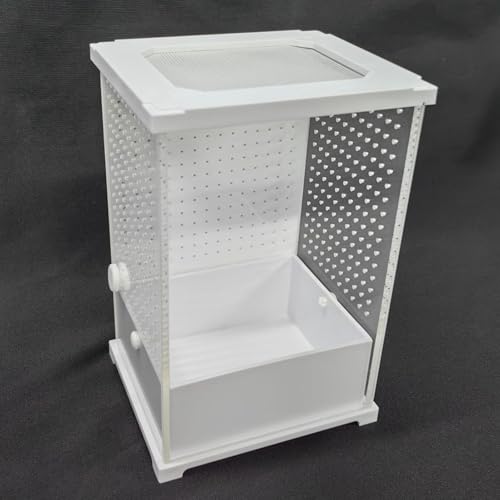 Solution d'élevage et d'alimentation sécurisée pour araignée sauteuse - 8