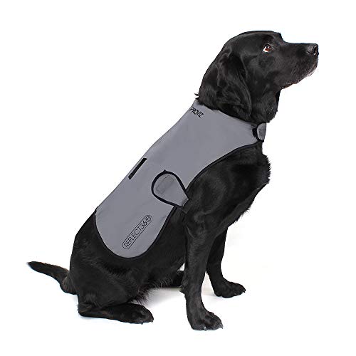 Proviz Reflect360 PV1282 Dog Coat, Silver, M