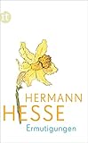 Ermutigungen: Gedanken aus seinen Werken und Briefen (insel taschenbuch) - Herausgeber: Volker Michels Hermann Hesse 